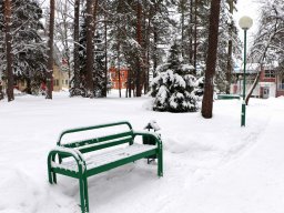 lastochka-01-2024-113