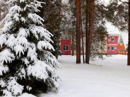 lastochka-01-2025-66